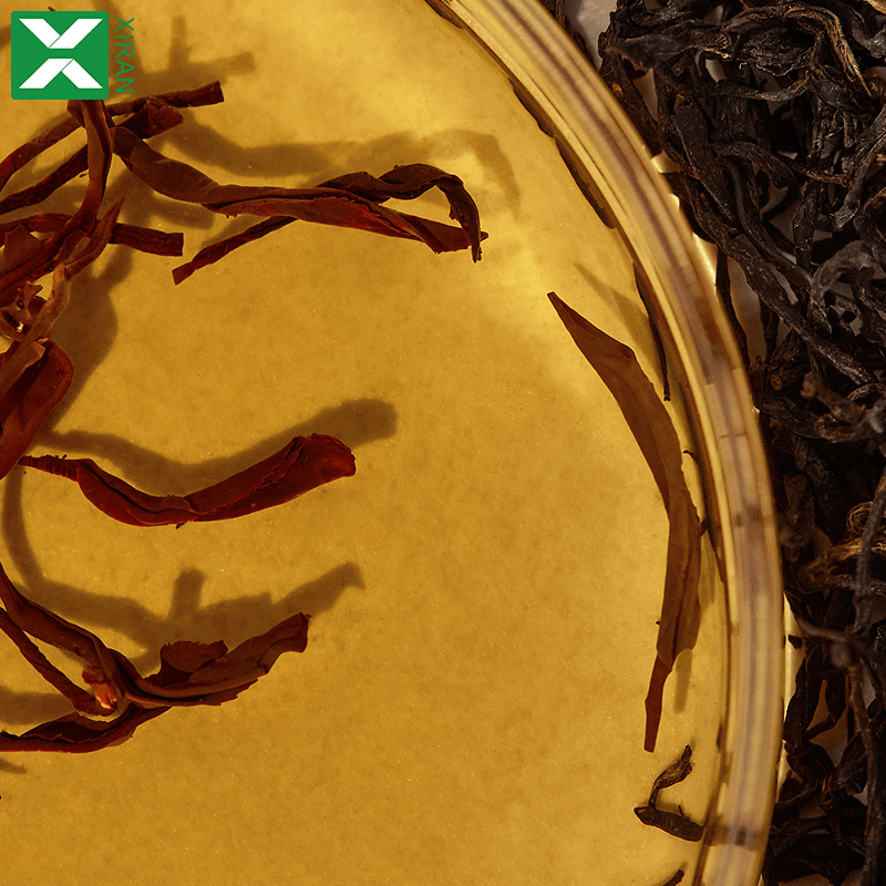 private label kombucha balancing ampoule toner